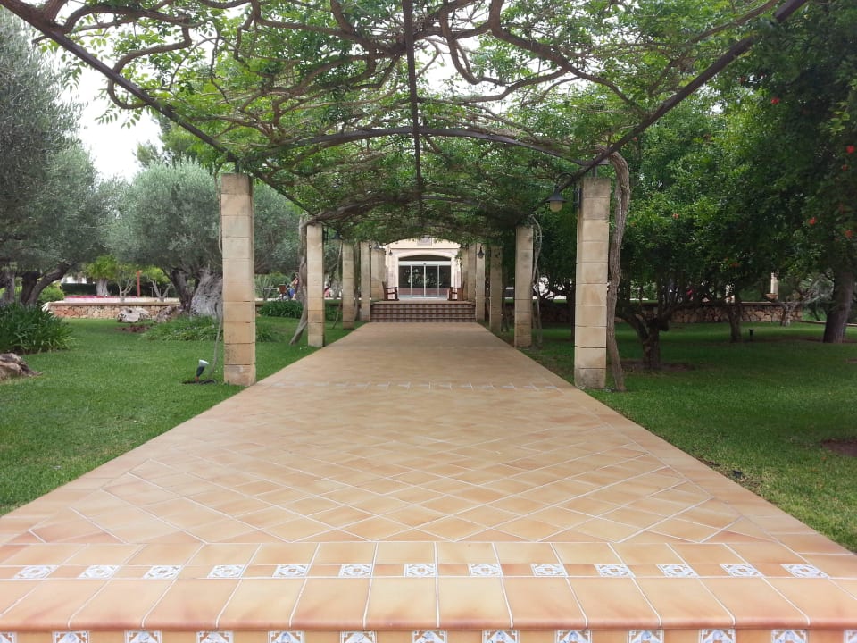 Gartenanlage Zafiro Mallorca