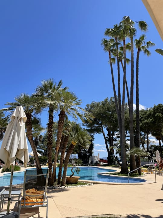 Pool allsun App.-Hotel Orquidea Playa