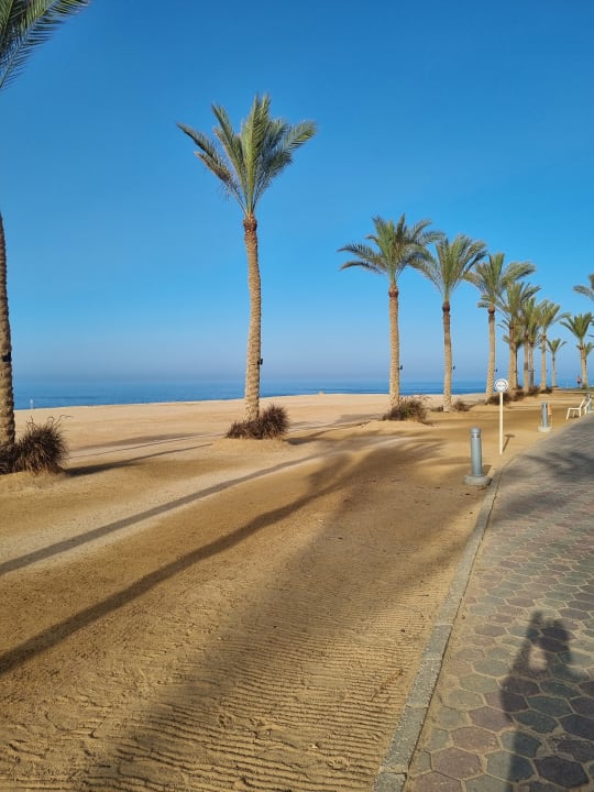 Strand Steigenberger Coraya Beach - Adults only