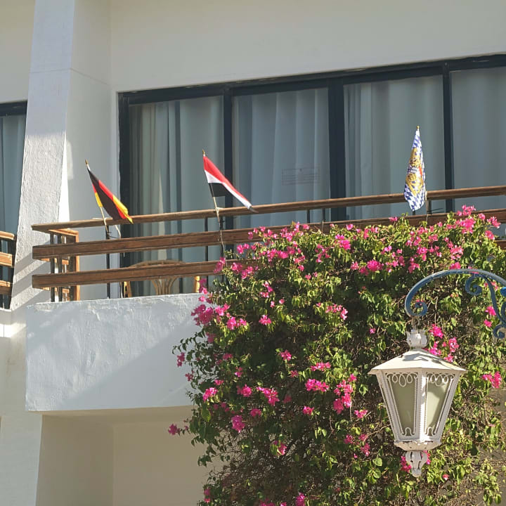 Sonstiges The Grand Hotel Hurghada