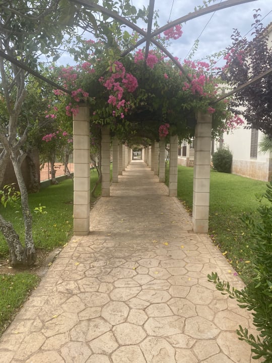 Gartenanlage Protur Floriana Resort Aparthotel