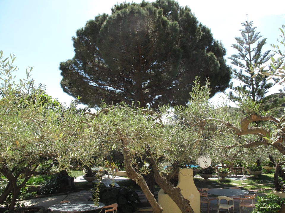 Garten Hotel Cala Joncols