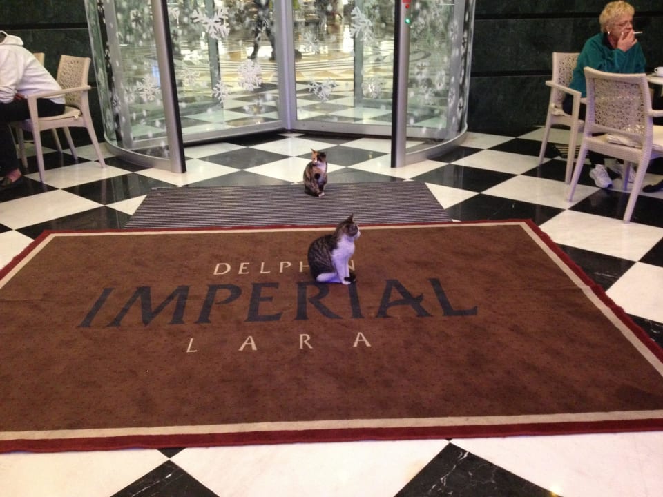 Eingang Hotel Delphin Imperial