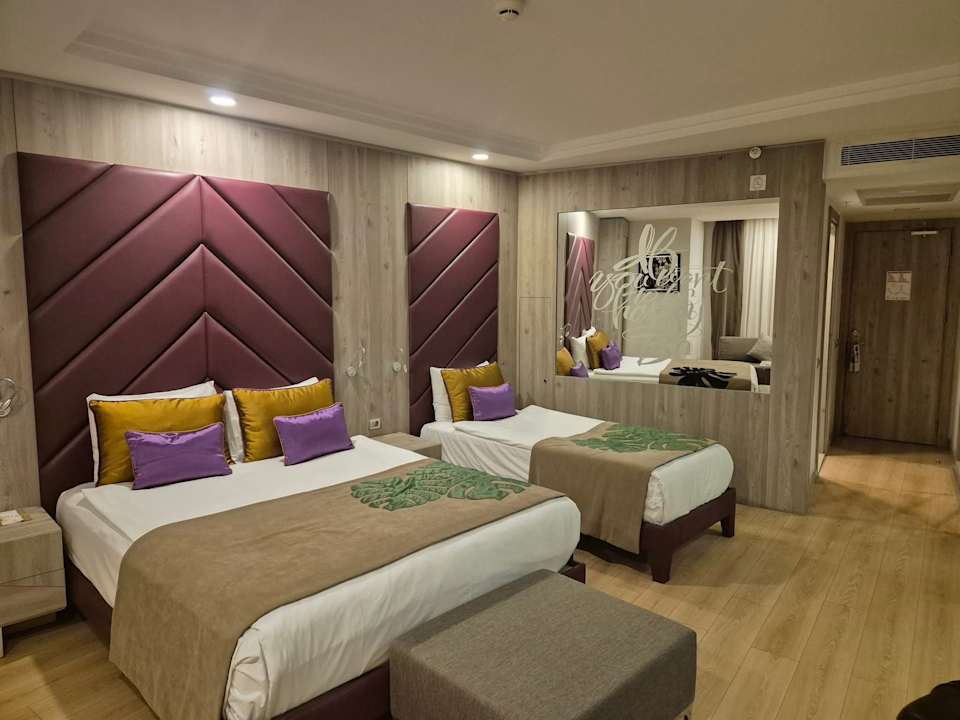 Zimmer Delphin BE Grand