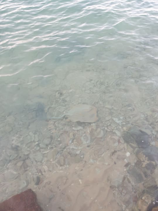 Strand Arabia Azur Resort