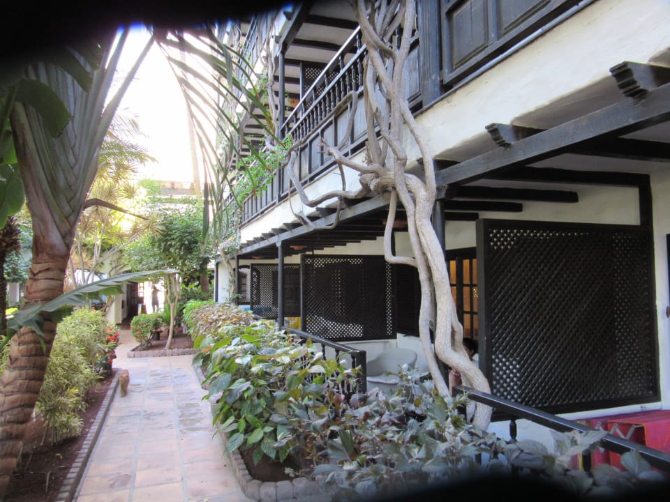 Zimmer Hotel Parque Tropical