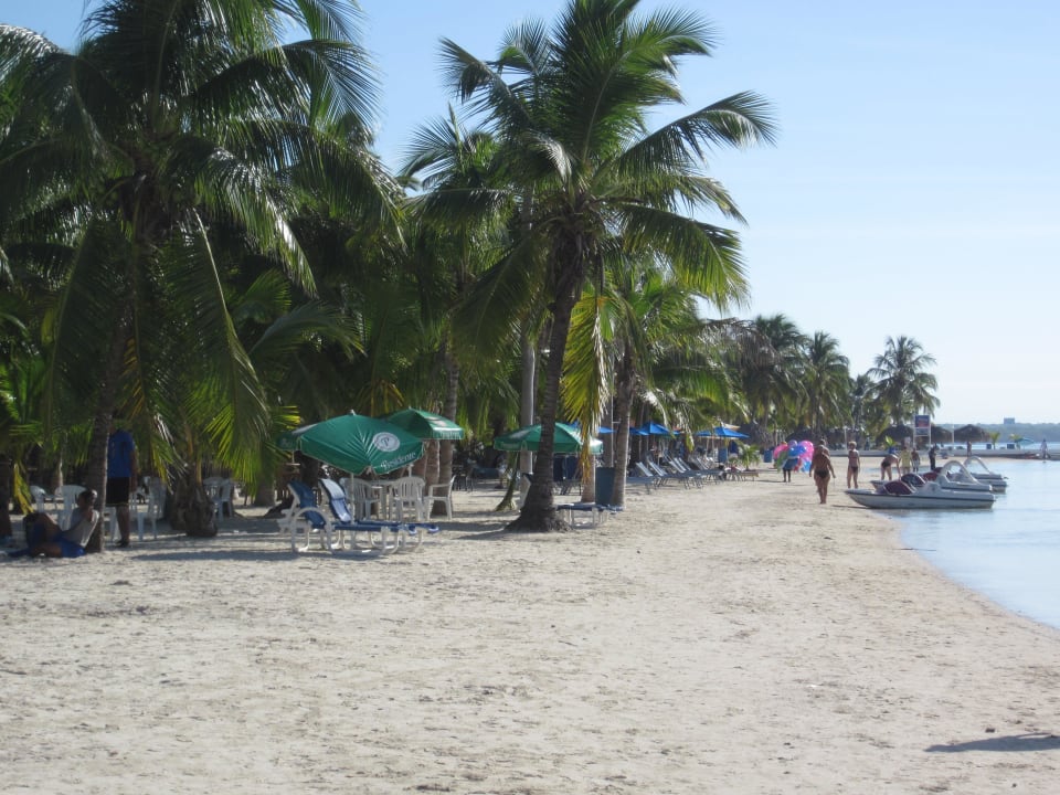 Palmenbesäumter Strand whala!boca chica