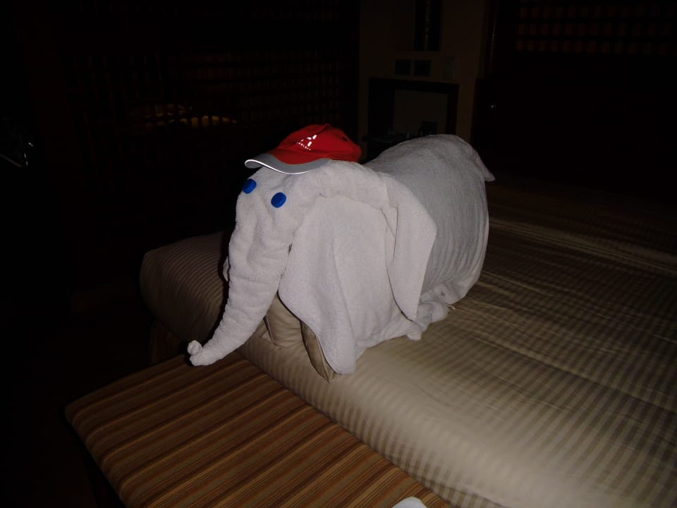 Zimmer Grand Waterworld Makadi & Family Star Makadi