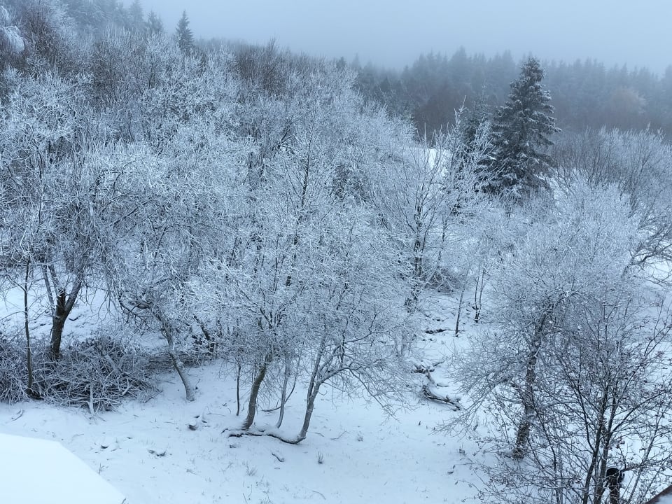 Ausblick Hotel Lugsteinhof