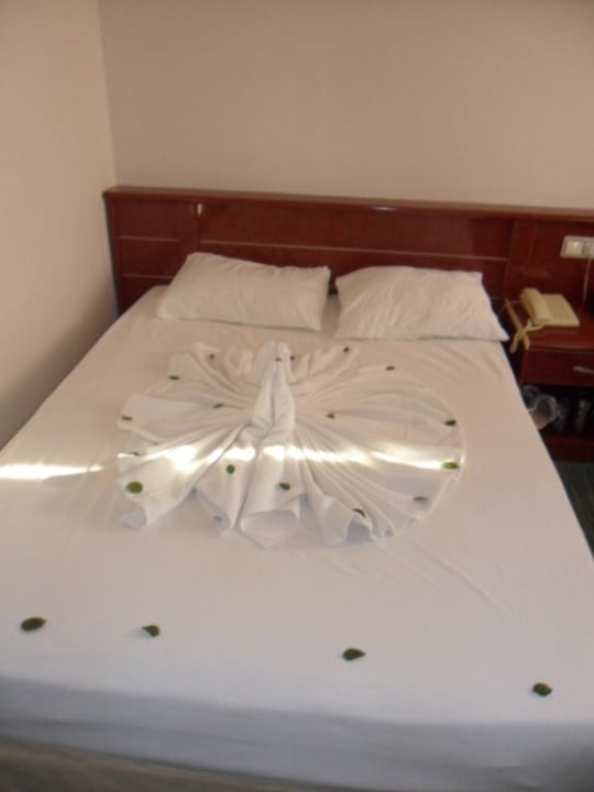 Täglich schön dekoriert Aydinbey Gold Dreams