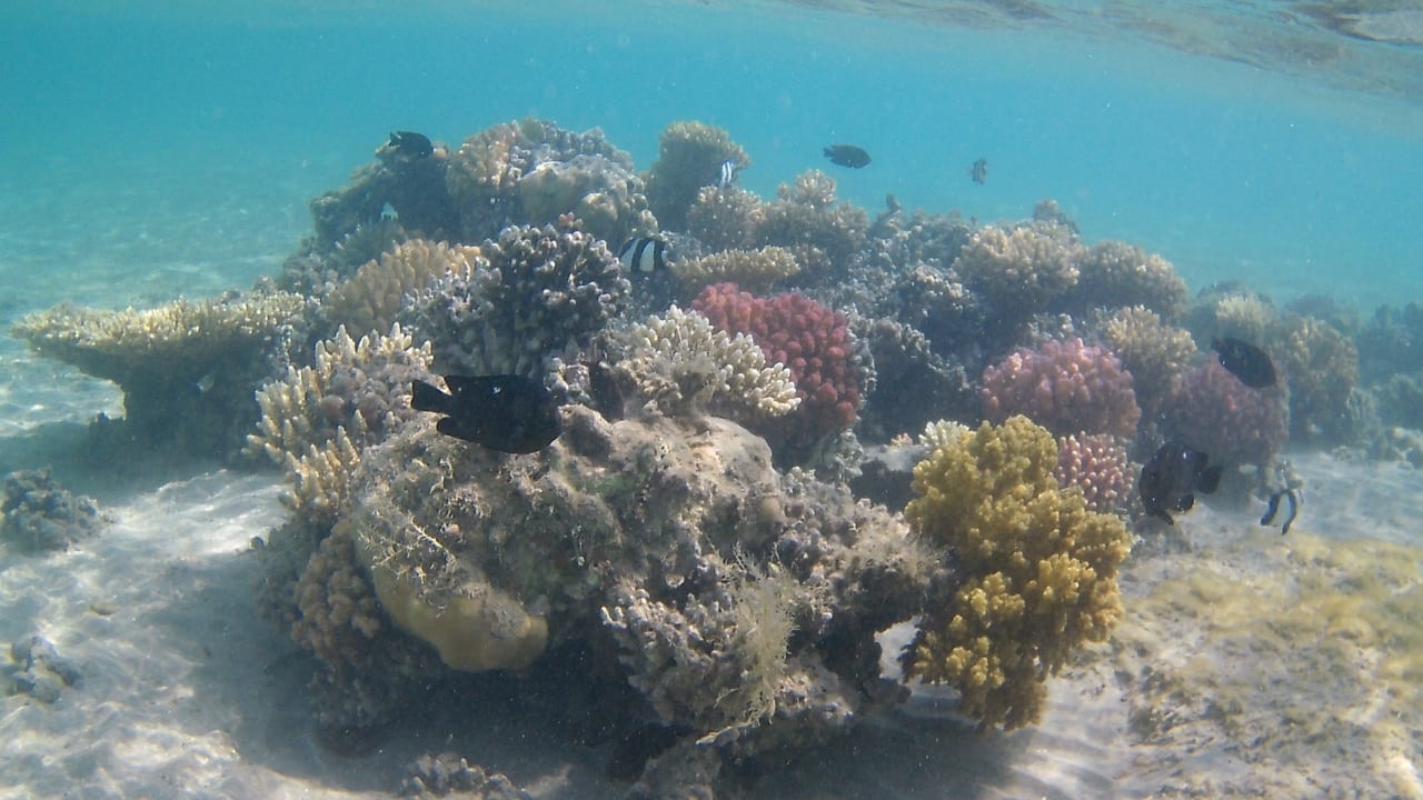 Sport & Freizeit Baron Palace Sahl Hasheesh