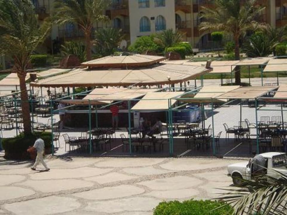 Grill bar Desert Rose