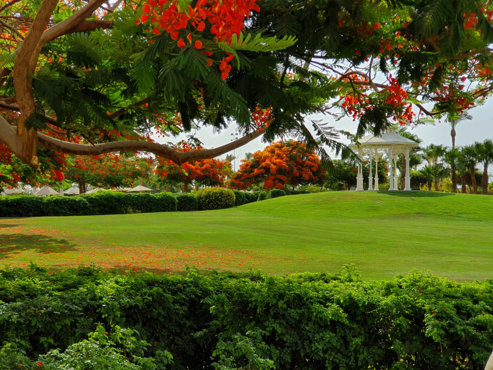 Gartenanlage Steigenberger ALDAU Beach Hotel
