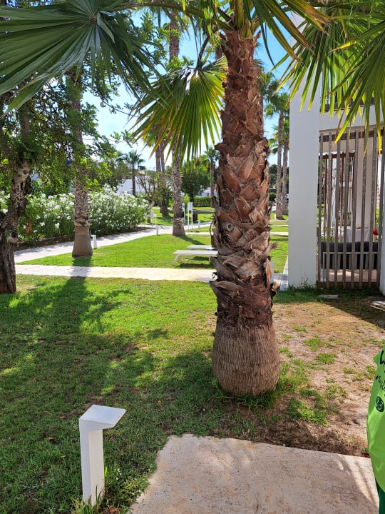 Gartenanlage Cala Llenya Resort Ibiza