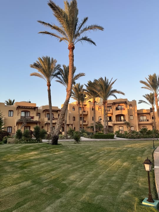 Gartenanlage Steigenberger Coraya Beach - Adults only