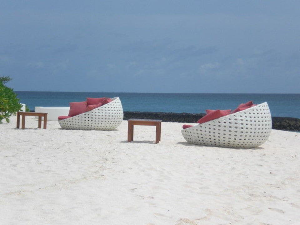 Strandmuscheln Kuramathi Maldives