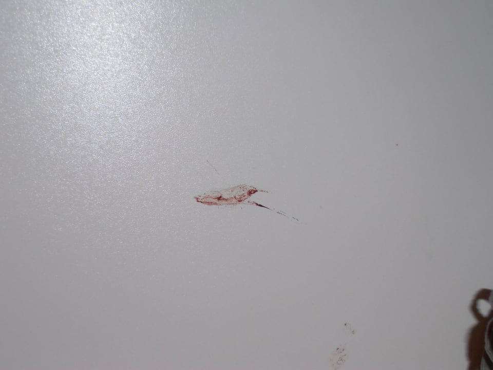 Blutflecken im Kasten Drazica Resort - Dependance Villa Lovorka