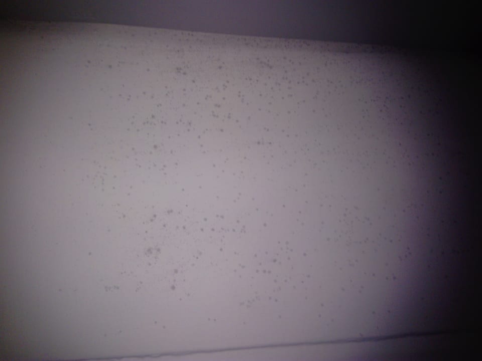 Zimmer Hotel Los Pinos