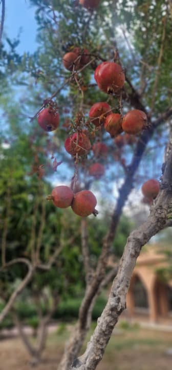 Außenansicht Seaden Sea World Resort & Spa