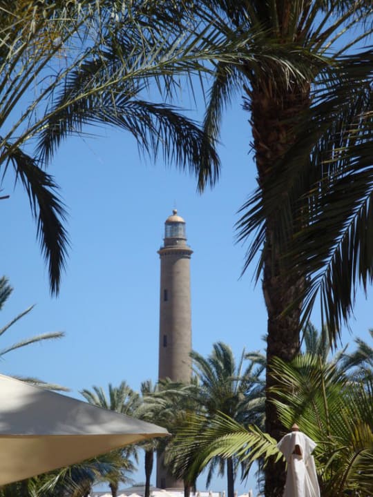 Palmen mit Blick auf den Faro Lopesan Costa Meloneras, Resort & Spa