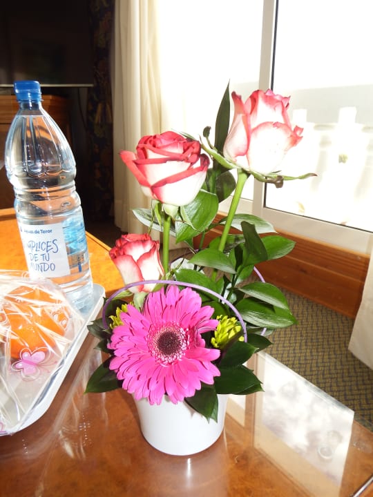 Zimmer Hotel Riu Palace Maspalomas Adults Only