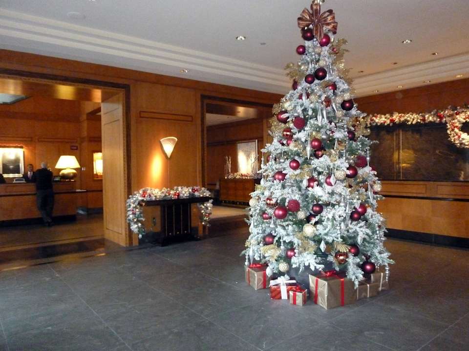 Rezeption The Wagner Hotel