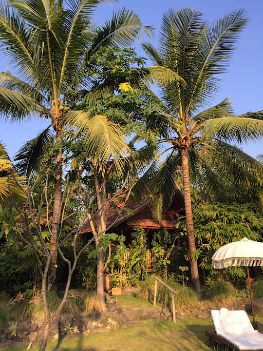 Gartenanlage Desa Saya Eco Luxury Resort & Spa - Adults only