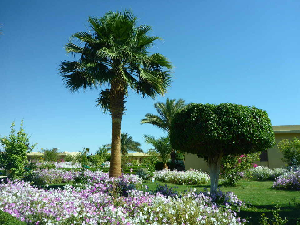 Gartenanlage Three Corners Fayrouz Plaza Beach Resort