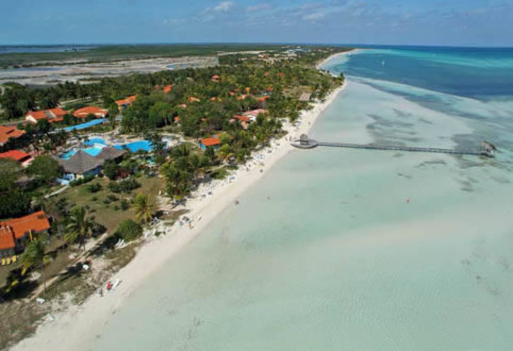 Beach Starfish Cayo Guillermo