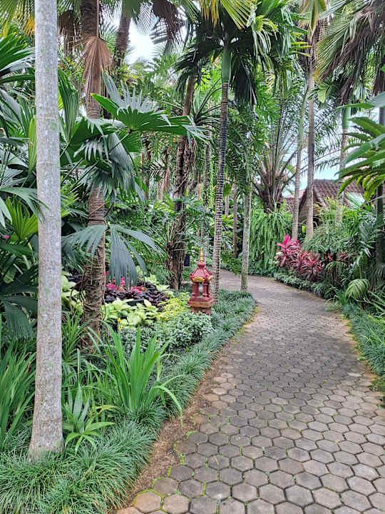 Gartenanlage Laluna Hotel & Resort