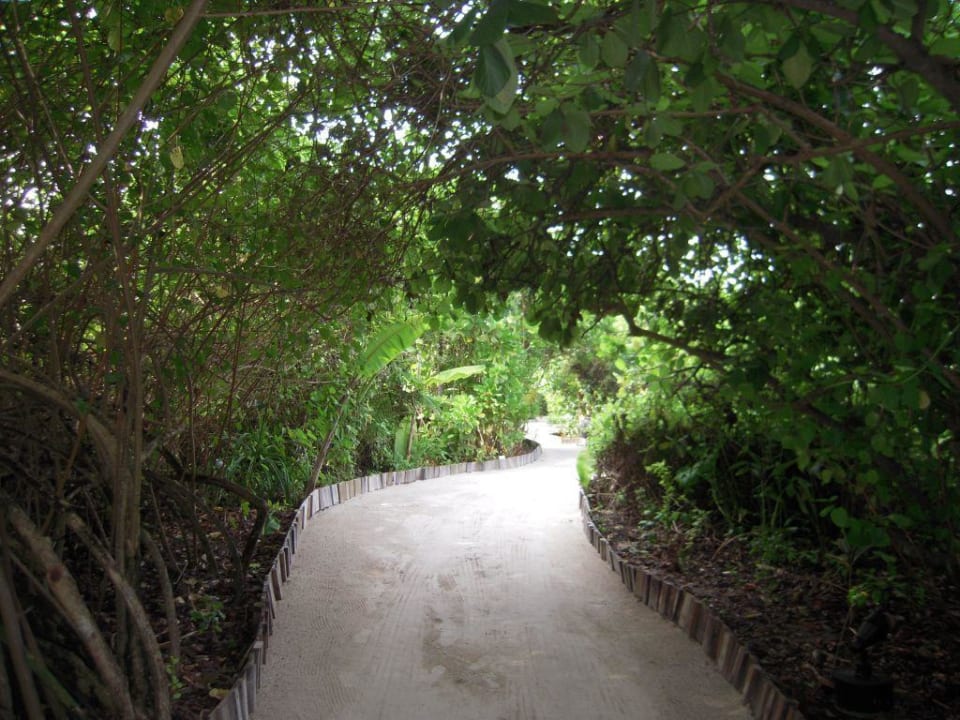 Weg Sun Siyam Iru Fushi