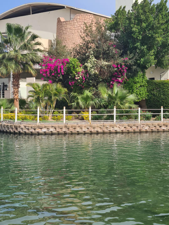 Gartenanlage Pickalbatros Dana Beach Resort - Hurghada