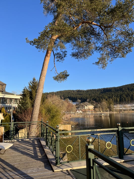 Außenansicht Treschers Schwarzwald Hotel