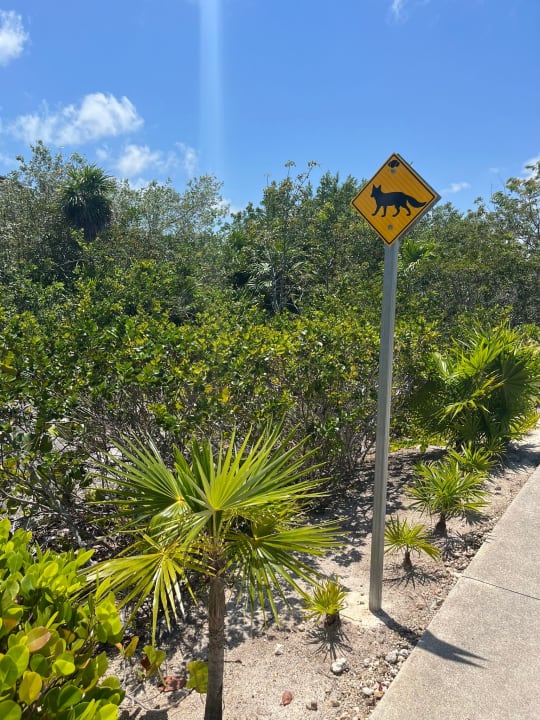 Gartenanlage Secrets Playa Mujeres Golf & Spa Resort - Adults only