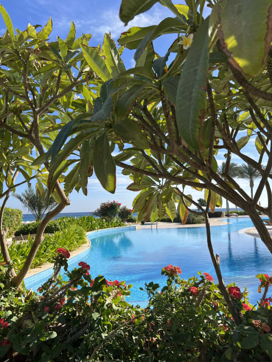 Pool Baron Palace Sahl Hasheesh