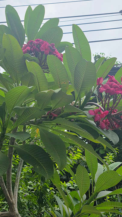 Außenansicht Hotel Sinsuvarn Airport Suite