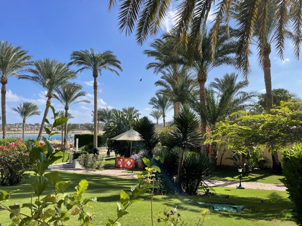 Gartenanlage Steigenberger Coraya Beach - Adults only