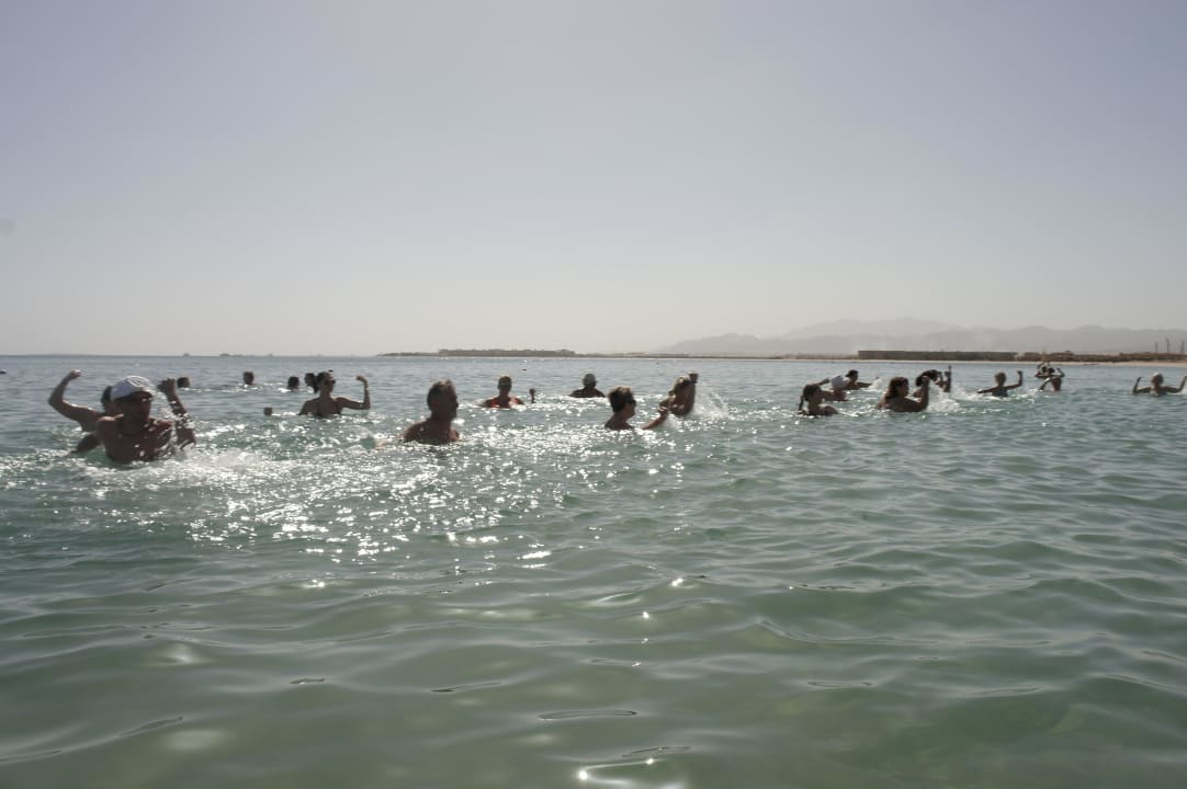 Аквааэробика - проводит Джорж Sentido Caribbean World Soma Bay