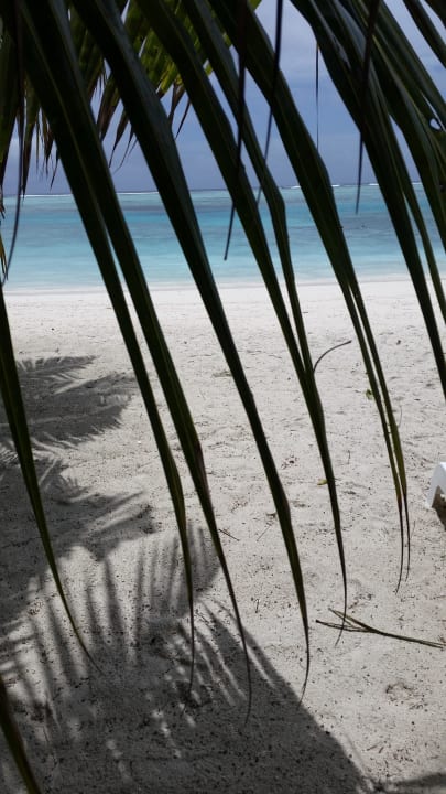 Wie im Paradies  Meeru Maldives Resort Island
