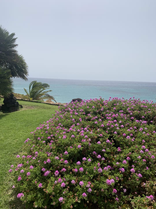 Gartenanlage R2 Pajara Beach