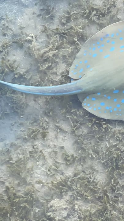 Sport & Freizeit Cleopatra Luxury Resort Makadi Bay