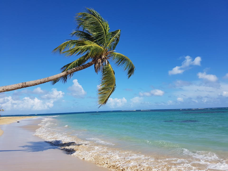 Strand Bahia Principe Grand El Portillo