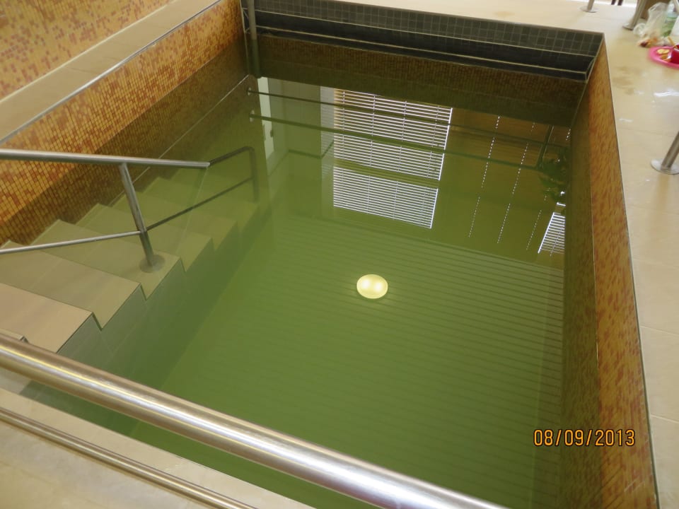 Tauchbecken in der Sauna AHORN Berghotel Friedrichroda
