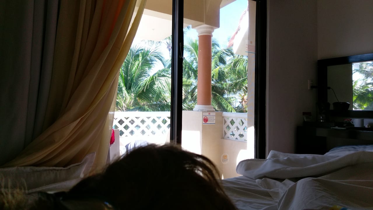 Zimmer Blick in die Palmen (Musik im Ohr) Hotel Viva Dominicus Palace by Wyndham-All Inclusive Resort