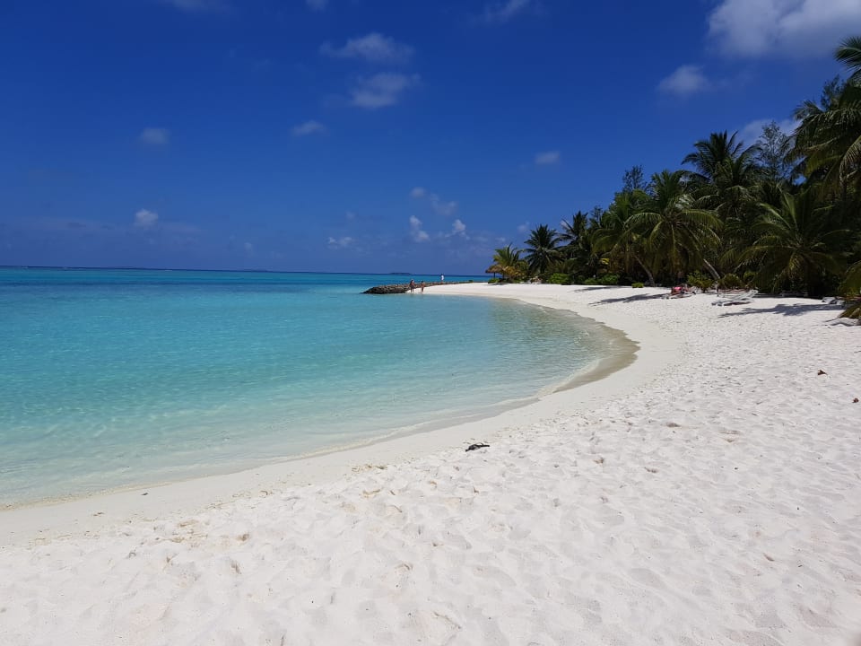 Strand Summer Island Maldives