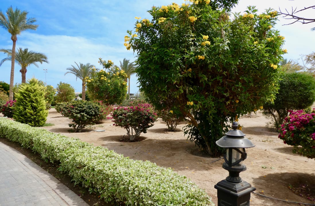 Gartenanlage Steigenberger ALDAU Beach Hotel