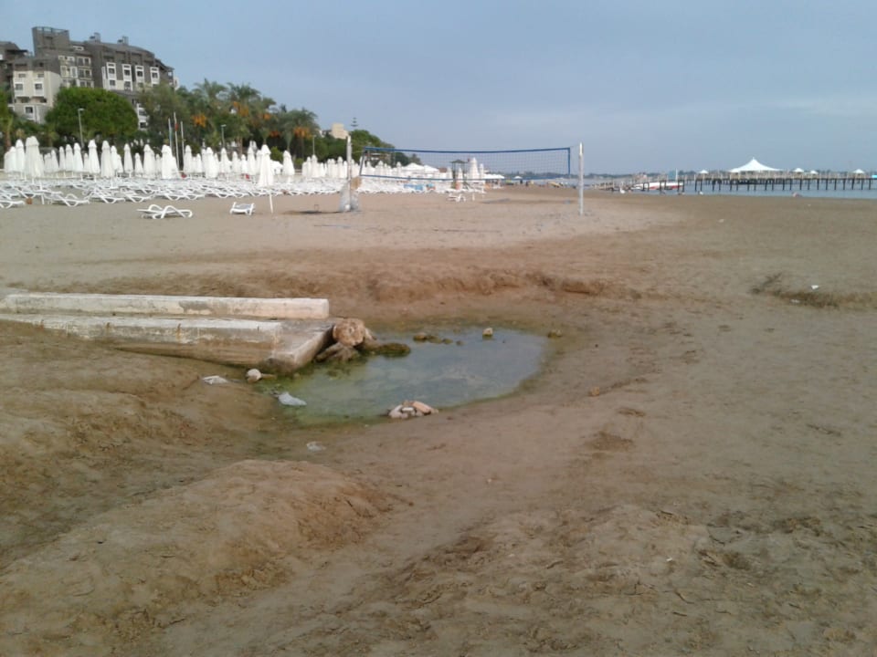 Strand PALOMA Perissia