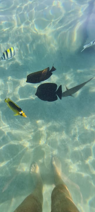 Strand Makadi Spa - Adults only