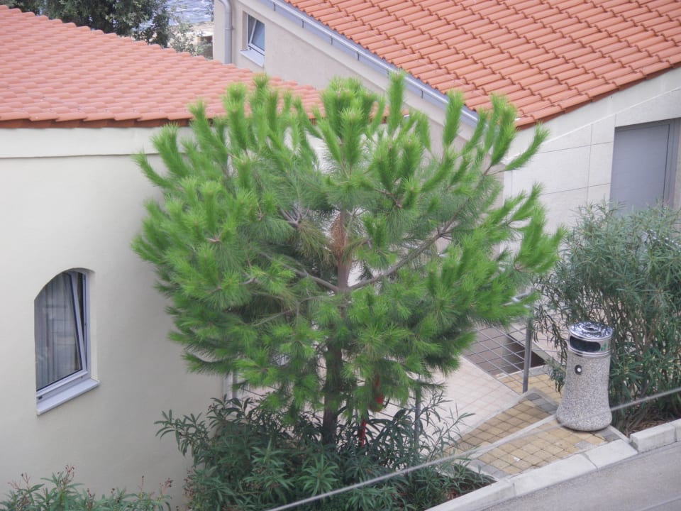 Appartment von außen Maistra Select Belvedere Resort