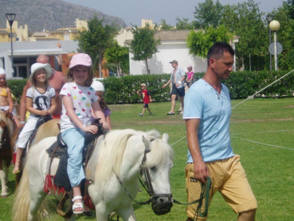 Animation Alcudia Garden Aparthotel